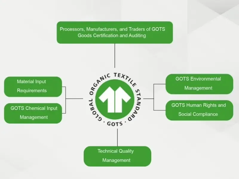 The Chain-of-Custody Model